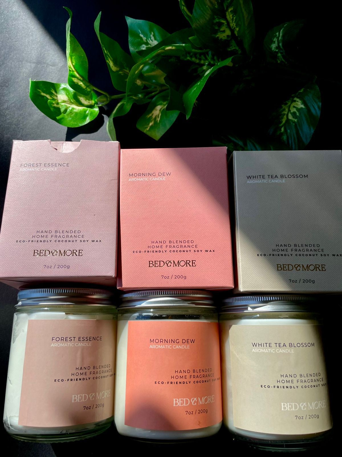 Premium Candle | Morning Dew